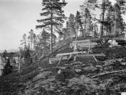 Фото Густава Халлстрёма 1909-1910