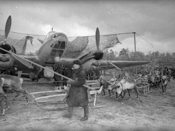 Оленетранспортные батальоны. 1941 г. Пос. Североморск-1, аэродром Ваенга. Подвоз авиабомб к самолету Пе-2